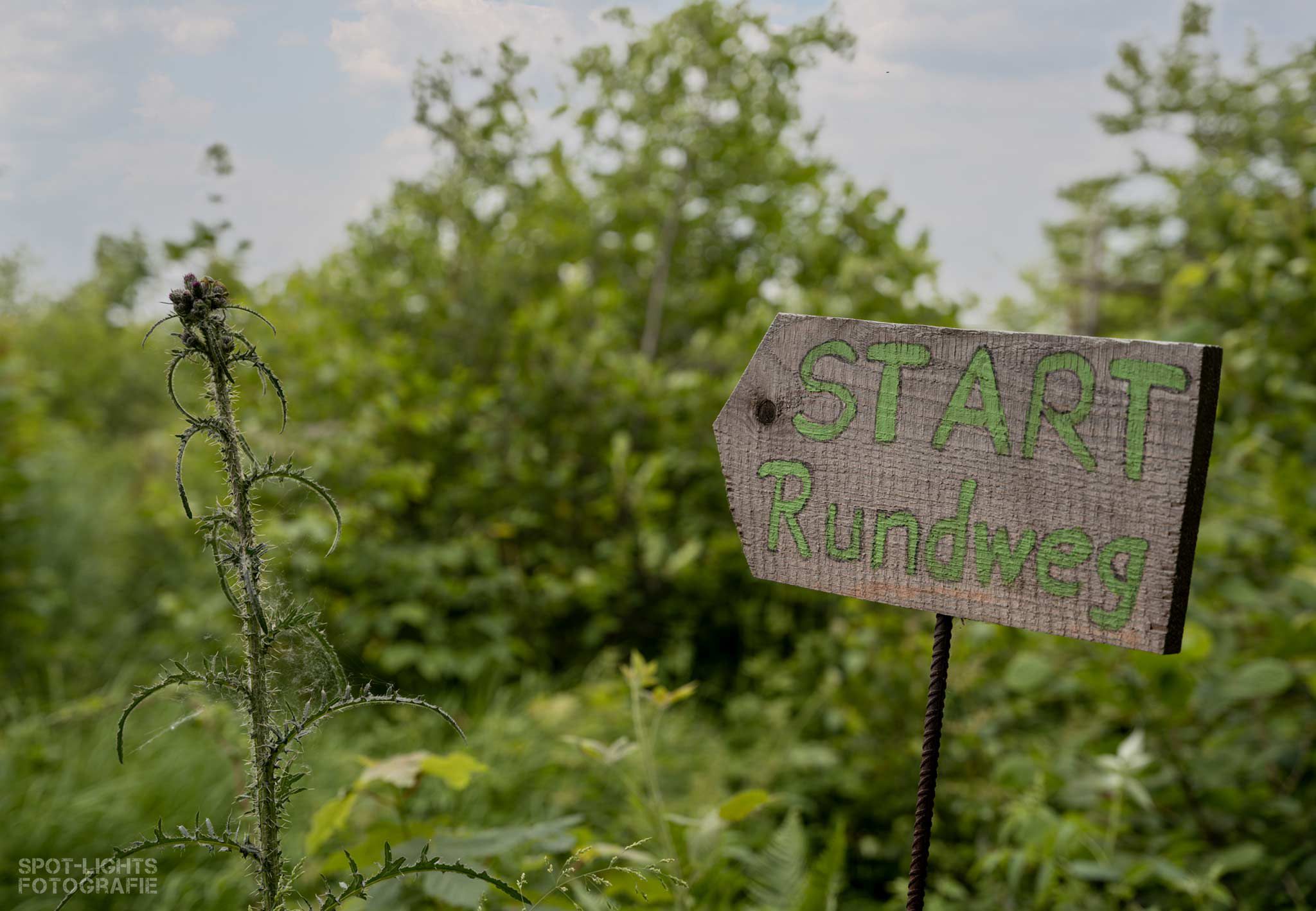 Wald-Lehrpfad