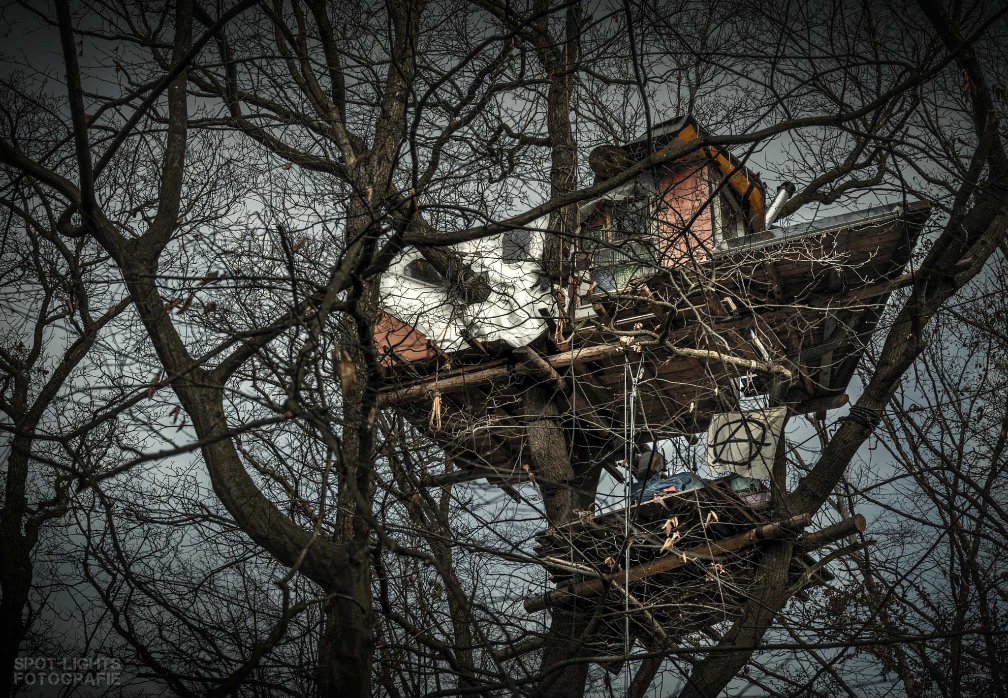 Baumhaus Hambacher Forst