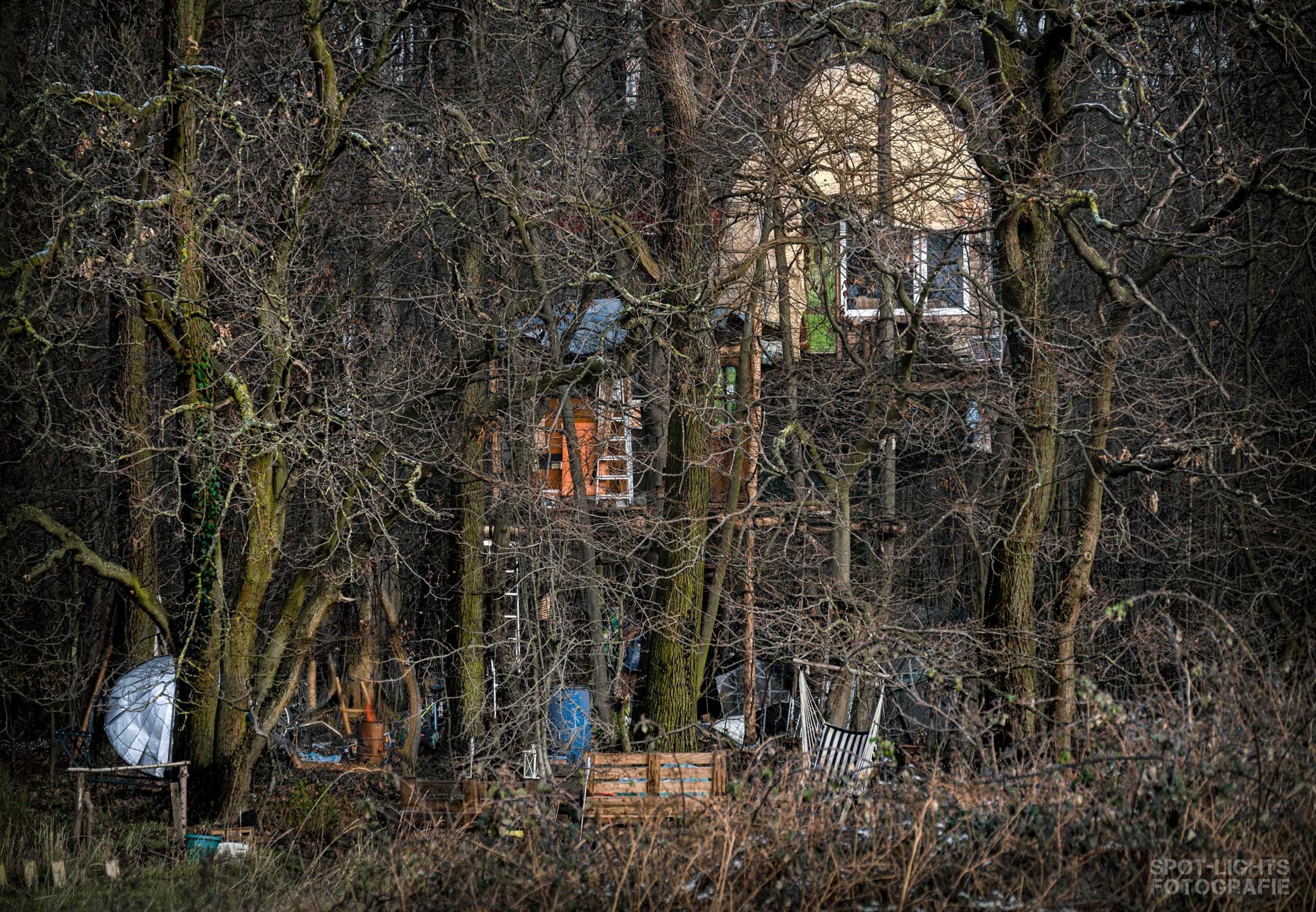 Baumhaussiedlung Hambacher Forst